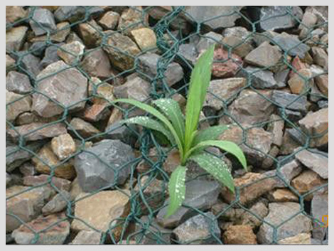 生态格宾网产品特点：(1)经济。只需将石头装入笼子封口即可。(2)施工简便，不需特殊技术。(3)有很强的抵御自然破坏及耐腐蚀和抗恶劣气候影响的能力。(4)可以承受大范围的变形，而仍不坍塌。(5)笼子石